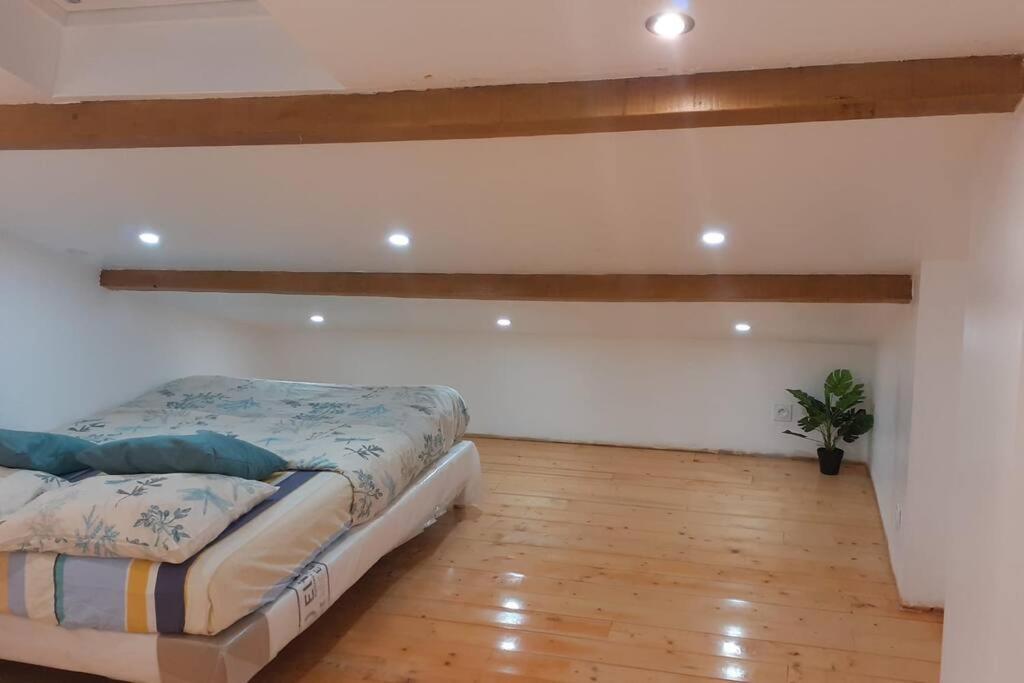 Appartement La Joie Dans Quartier Chic Pibrac Ngoại thất bức ảnh